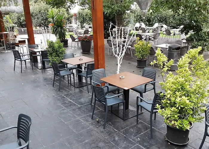 Hotel Larramendi Torrea *