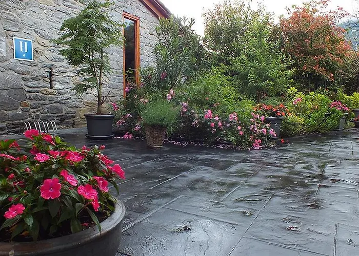 拉瑞门迪托雷亚酒店 *